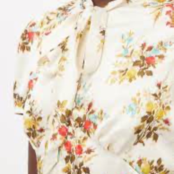 ERDEM Floral Elroy Dress - Picture 16 of 16